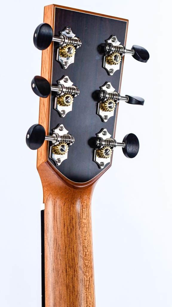Lakewood A-45 Custom Ziricote Europian
